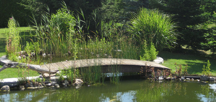 Garten- und Landschaftsbau